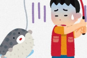 日本人特有の「フグが釣れたら踏んで破裂させる」精神
