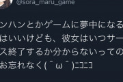 【画像】ツイ民「ゲームに夢中になるのはいいが、『彼女』はいつサービス終了するか分からないぞ？」