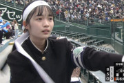 【ハシカン？】甲子園でガチ可愛い子見つかるｗ