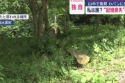 島根県の山の中で見つかった記憶喪失の男性「自分がどういう人間か今後どう生きていけば良いのか全くわからない」←俺達の事すぎると話題に