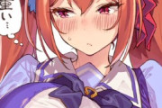 【ウマ娘】ダスカの重さを支えてあげたい
