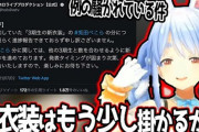 Vtuber 宝鐘マリンにはあんなに超クオリティ高くてとてもお金掛かってそうな新衣装が実装されるのに、兎田ぺこらのは去年分はおろか2.0すら対応されないのは何故？