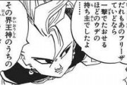界王神「誰もがフリーザ程度ならワンパンでした」