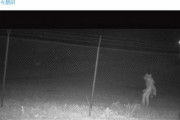【チュパカブラ】アメリカにある動物園の監視カメラに「謎の生物」が映り込む！市がSNSで解明を呼びかける