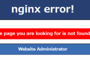 nginx error!