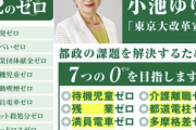 小池百合子「満員電車ゼロ！花粉症ゼロ！電柱ゼロ！」←これどうなったの？