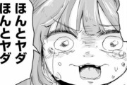 「みいちゃんと山田さん」をやたら擁護したり、批判意見に対し執拗な攻撃を繰り返しているアカウントが作者の裏垢なのでは？と特定班の間で話題になる