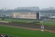 【競馬】　G1の直前なのに、全然盛り上がりを感じないんだが…