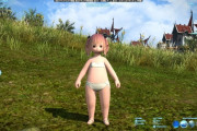 【FF14】7.0グラアプデの不満や要望に対して「文句言うな！」「カスハラだ！」って言う人いるけどさ・・・