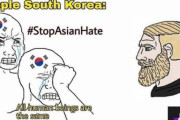 韓国人「東南アジアで広がっている韓国に対する風刺ミーム」