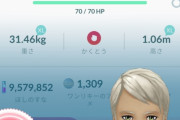 【ポケモンGO】このワンリキーって解放すればコミュデイ技覚えるよね？そもそもしっぺがえしって使えるの？
