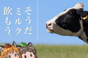 牛乳業界「助けたいと思うなら低脂肪乳や低脂肪ヨーグルトを買って！バターやチーズは実はあまり……」