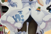 【狂気】Vtuber信者「ぺこらの等身大パネル アキバの駿河屋で売ってるの見かけて衝動買いしたで」