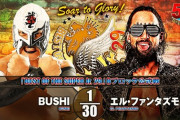 BUSHIvsエル・ファンタズモ 『BEST OF THE SUPER Jr. 29』Bブロック公式戦