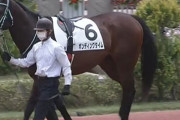 【歴代最高】今日の競馬に歴史的激太り馬が出走！！ヤバイと言われたアノ時のスペシャルウィークの6倍以上