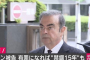 【ゴーン被告】有罪なら禁固15年も レバノンの弁護士グループが「イスラエルに入国した罪」で告発