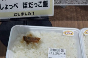 【画像】日本人さん、とうとう金がなくなり、こんなもので飯を食うようになる
