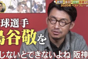 【悲報】能見・鳥谷「今だから言える。阪神タイガースファンは民度が低過ぎて大嫌いだった」【甲子園球場の空気】