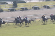 【競馬/新馬】福永が毎日乗りたいと絶賛してたアロマドゥルセ → 6着デビュー