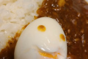 【画像】カレーに卵って合うよな？