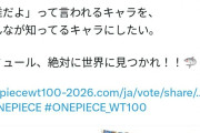 チー牛「ONE PIECEのキャラ投票で不人気キャラに9000票入れたらウケるやろうなぁ…w」←大炎上w