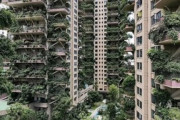 【中国】「森林の中での生活を提案」…緑あふれるマンション、蚊の大量発生でほぼ無人に