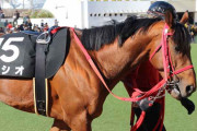 【悲報】歴代最高のジャパンカップにとんでもない場違いな馬が登録してしまう