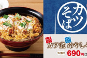 【悲報】かつや、とうとうカツを乗せる対象を間違える