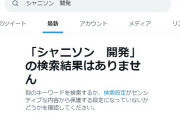 シャニソン　開発 の検索結果消える