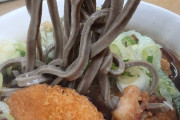 【画像】極太蕎麦、流行りだすWWWWWWWWWWWWWWWWWW