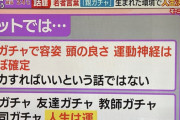 【悲報】若者「人生は運、努力は関係ない」