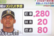 【予想】阪神の新外国人J ・ボーアが一年目に残しそうな成績yyyyyyyyyyyyyyyyyyyyyyyyyyyyyyyy