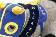 お前らが宝物にしてる競馬グッズ