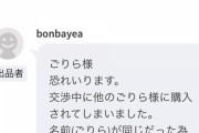 メルカリワイ「2000円の値下げお願いします」敵「表示されてる値段て購入します」