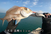 Google試験問題「魚のいない海で魚を釣る方法を考えてください」