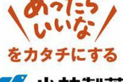 小林製薬が作った妊娠検査薬にありがちな名前ｗｗｗ