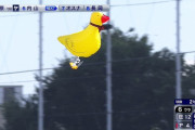 神宮球場にアヒルが乱入！ 試合が中断するハプニングｗｗｗｗ