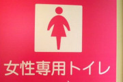 【？？？】「トイレ、浴場に”女性の専用スペース”確保するぞ！」LGBT理解増進法案めぐり法整備　自民保守派が議連創設
