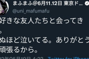【純愛】まふまふとみけねこ、復縁を匂わせるｗｗｗｗｗｗｗｗ