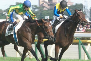 【競馬】ジャパンカップ（2勝クラス、3勝クラス）を新設