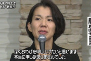 豊田真由子「8年前のこのハゲ事件は元秘書のハゲが意図的に私を怒らせて録音された」 元秘書達「😡」