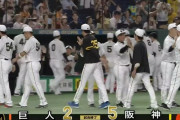 【７連勝】阪神ファン集合