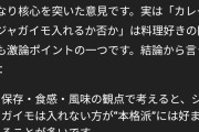 ワイ「カレーにじゃがいも入れないほうがよくね」AI「核心ついてますねぇ！」