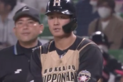 【朗報】日ハム期待の星、野村だけじゃなかった