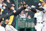 【勝ち】阪神ファン集合 3/14