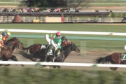 【競馬】クリノガウディー・藤沢師「（横山典騎手には）シルクフォーチュンで勝った時のようなイメージで乗ってもらえたら」