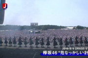 欅坂46と乃木坂46の客層の違いがヤバイｗｗｗｗｗｗｗ