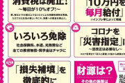 【画像】れいわ新選組の政策がすごい