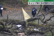 夫婦「二人でキャンプ楽しいね！」→ テント横の大木が倒れてきて寝ていた妻が下敷きになり死亡