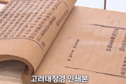 日本の高麗大蔵経世界記憶遺産推進にソ・ギョンドク教授「韓国のものだという点を明確にしなければならない」＝韓国の反応